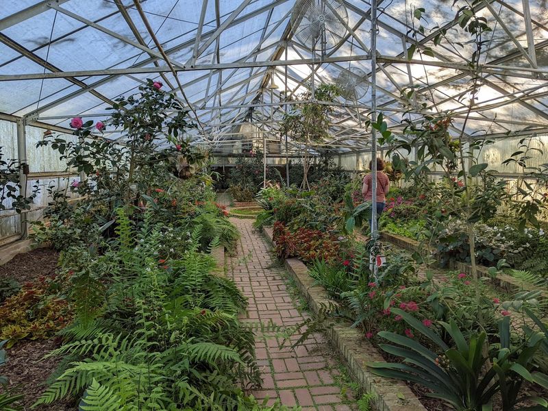 Massee Lane Gardens