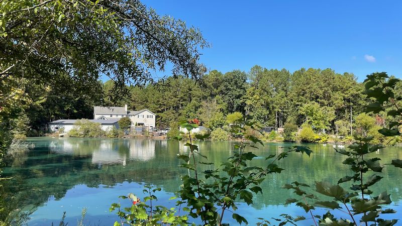 Pond Views Beside Rows Of Greenery