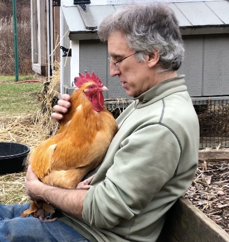 Chickens That Will Change How You See Chickens