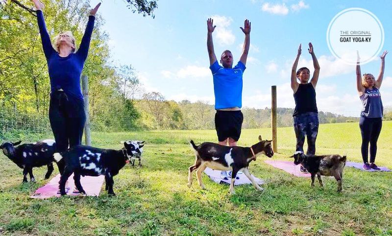 No Yoga Experience Required Whatsoever