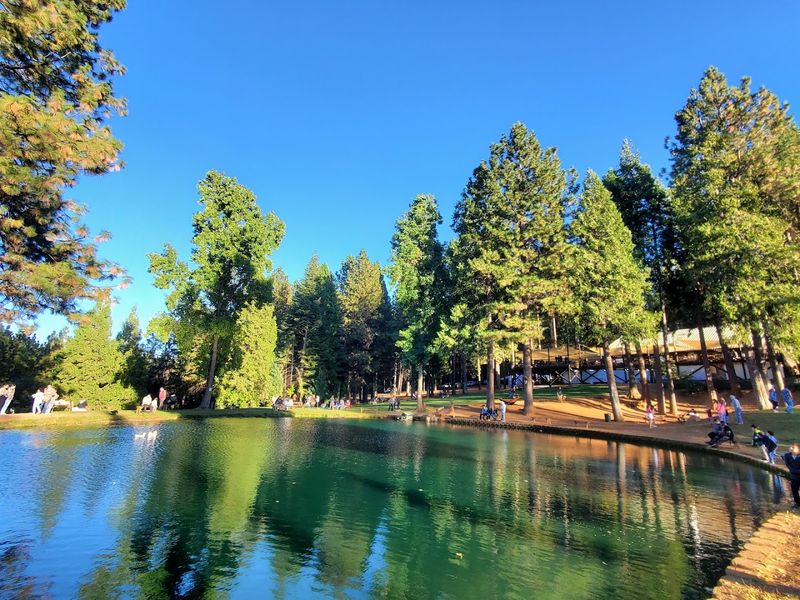 Apple Hill Nearby Adds Seasonal Appeal and Community Rhythm