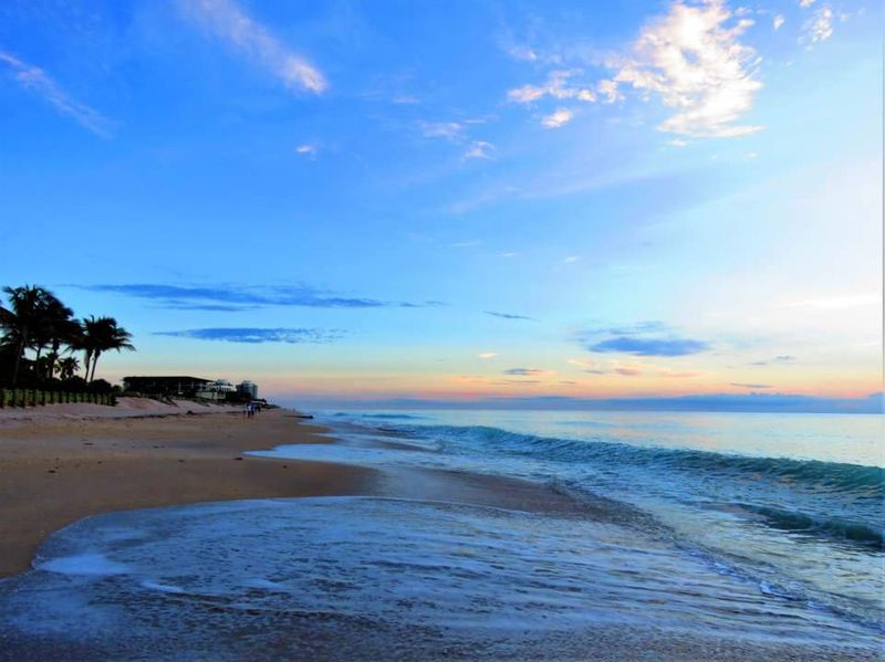Loggerhead Sea Turtle Nesting Season