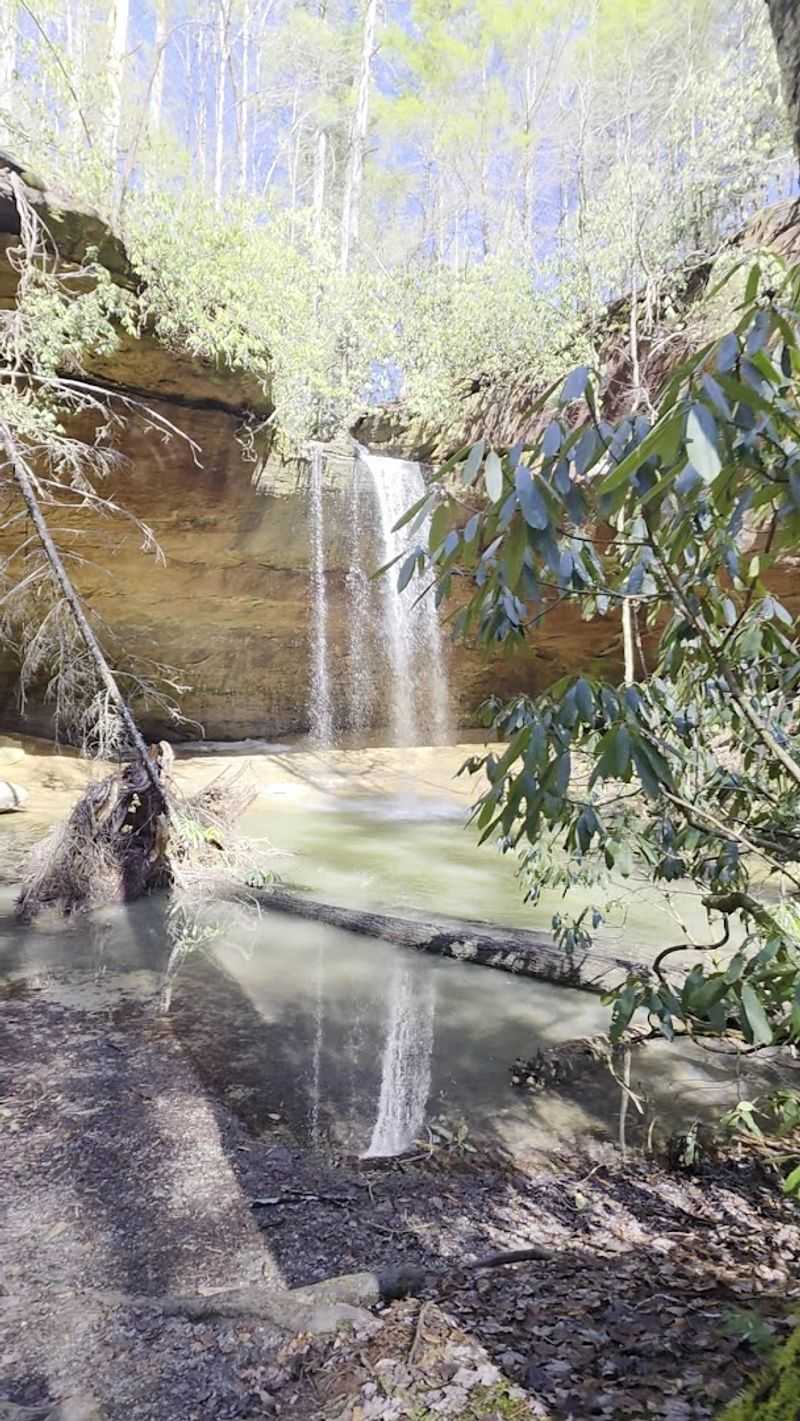 Copperas Falls Trail