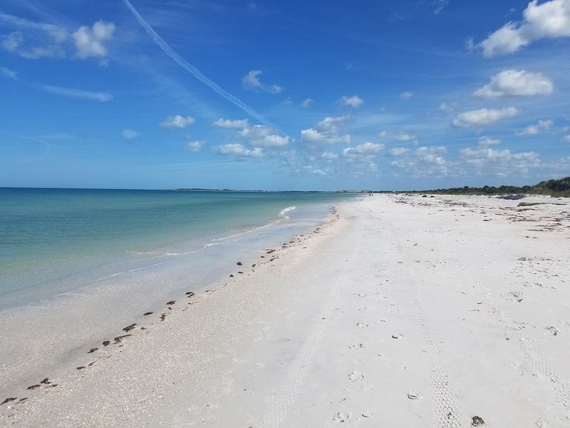 Caladesi Island State Park, Dunedin