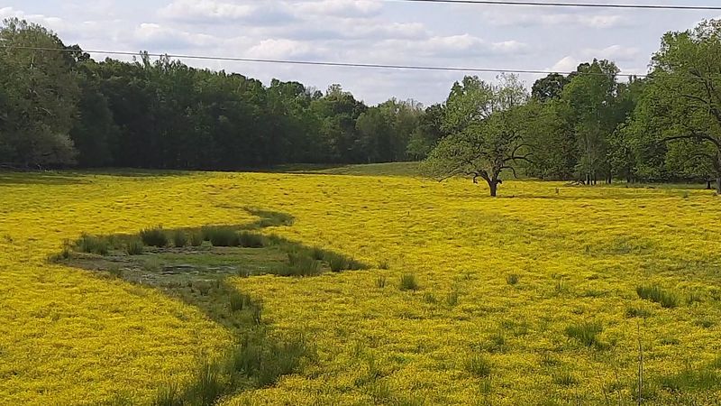 Union Point, GA