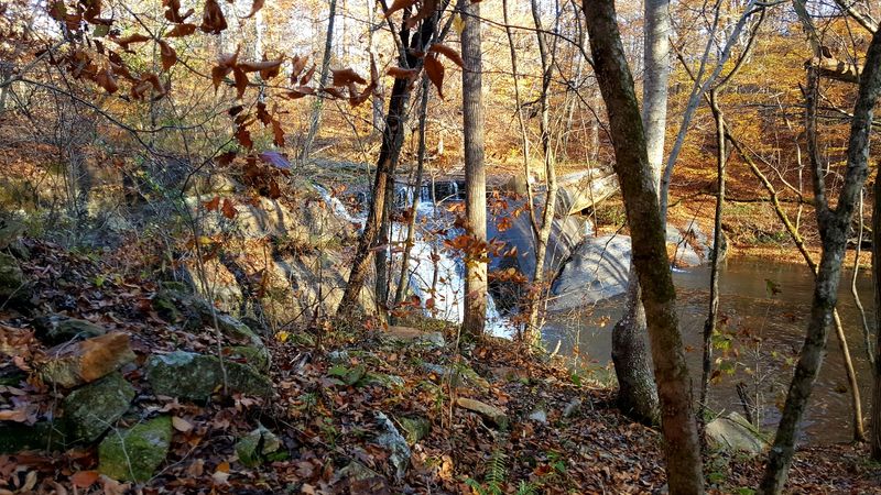 Wildlife And Natural Beauty Around Every Bend