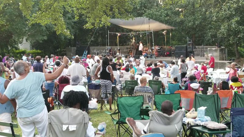 Live Storytelling Sessions That Steal the Show