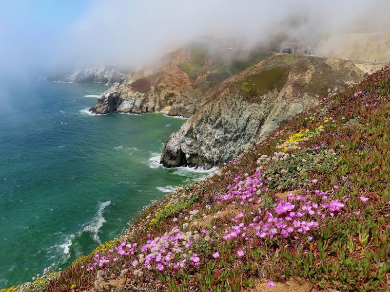 Devil's Slide Trail, San Mateo County Coast