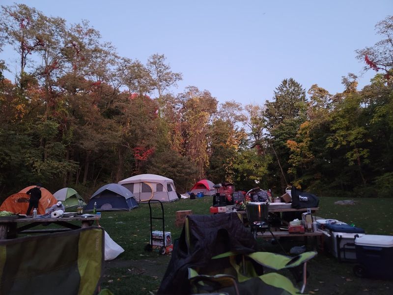 Group Camping Under The Stars