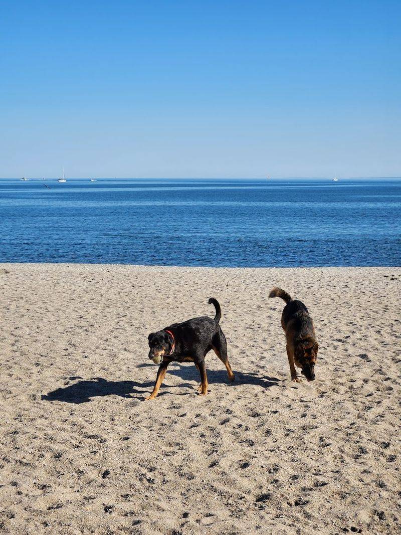 Jennings Beach, Fairfield 