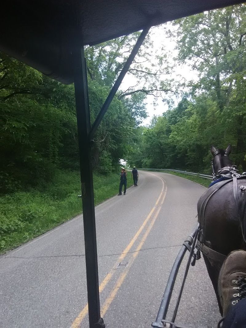 Scenic Country Roads