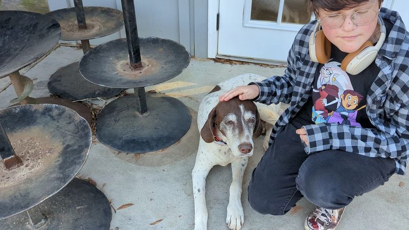 Pet-Friendly Environment For Four-Legged Companions