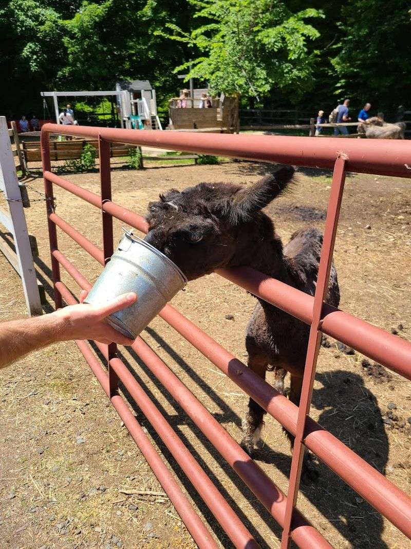 Simple Tips For A Comfortable Farm Day