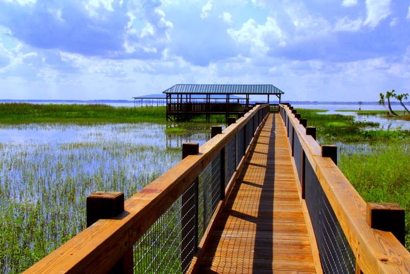 Night VIP Airboat Tours That Change Everything