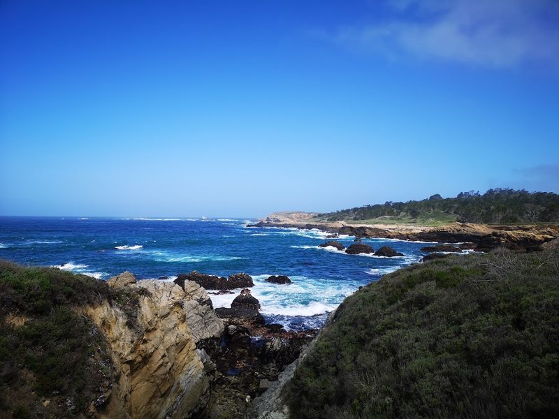 Sea Lion Point Trail, Point Lobos State Natural Reserve