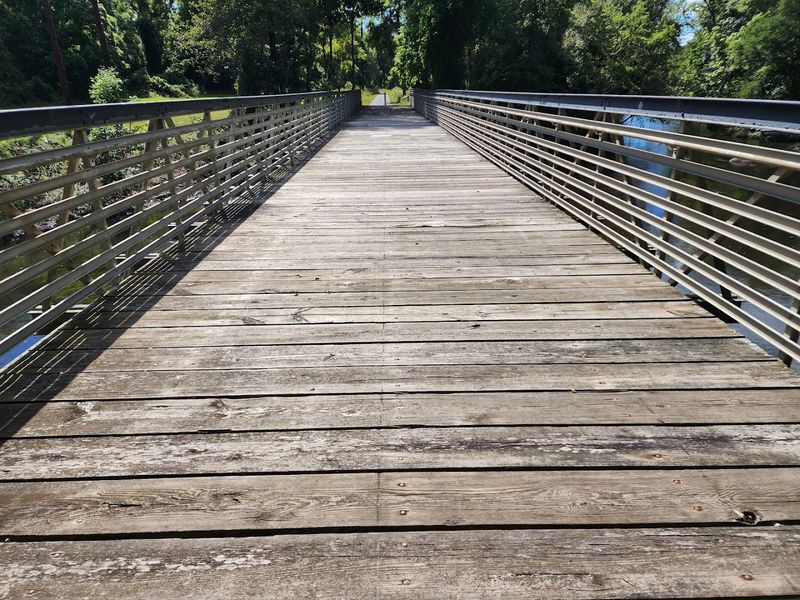 The Kalamazoo River Trail