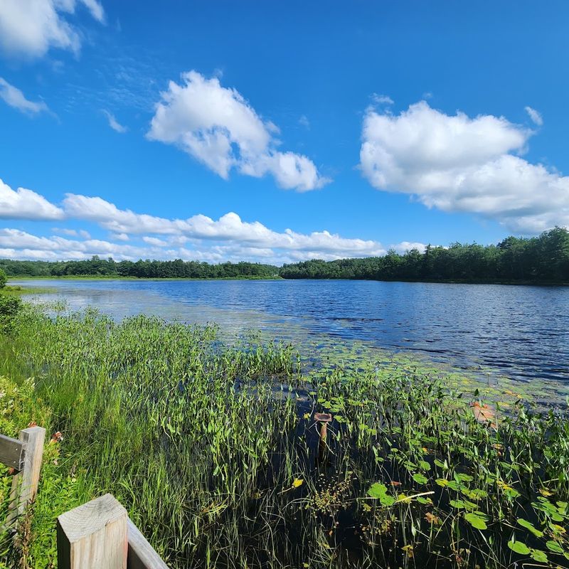 Outdoor Life That Keeps You Moving
