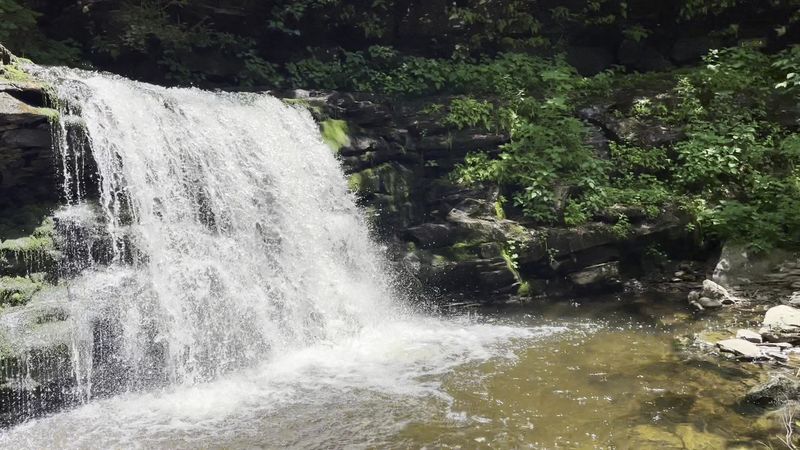 Ricketts Glen State Park