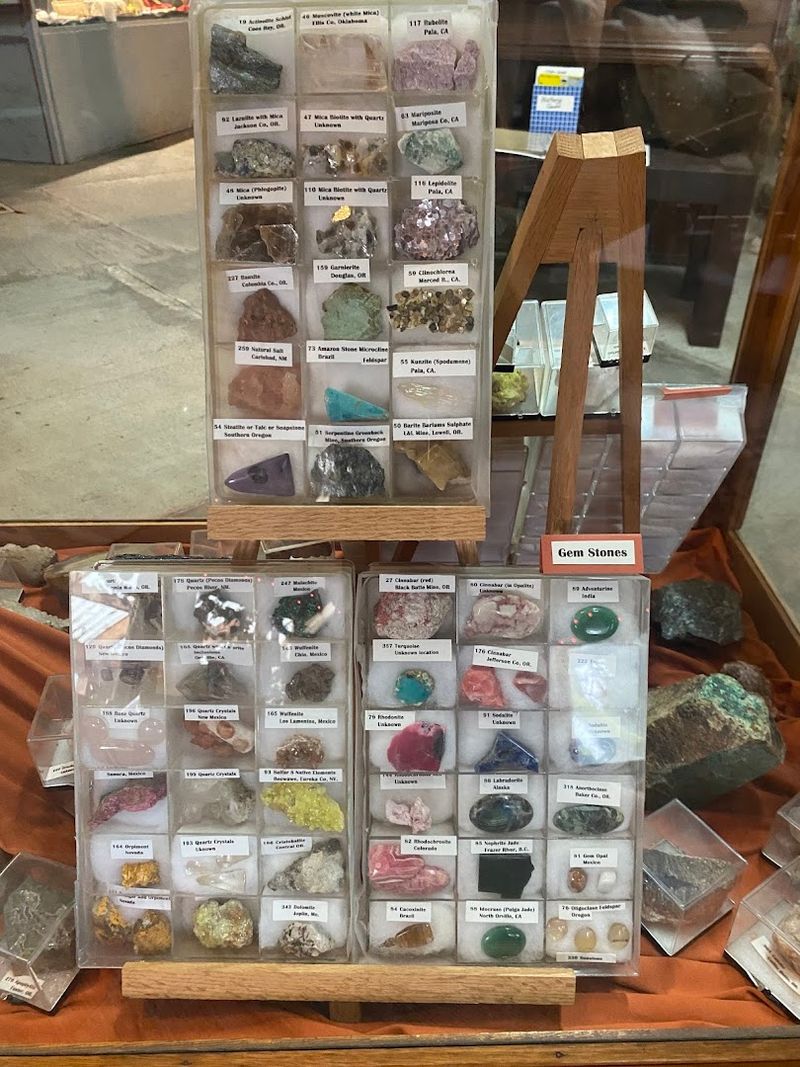 Guided Tours And What To Expect