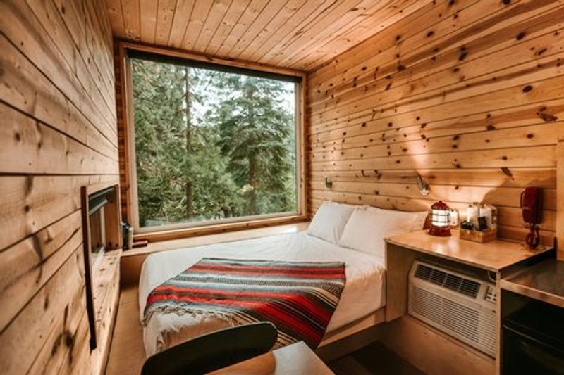 Postcard Cabins Dale Hollow Lake, Outdoor Collection By Marriott Bonvoy, Celina