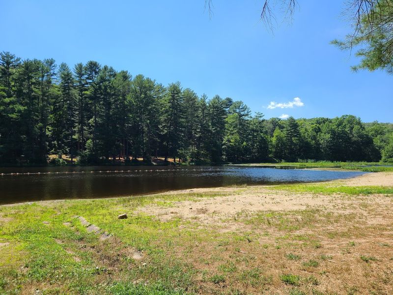 Perfect Picnic Spots Surrounded By Nature