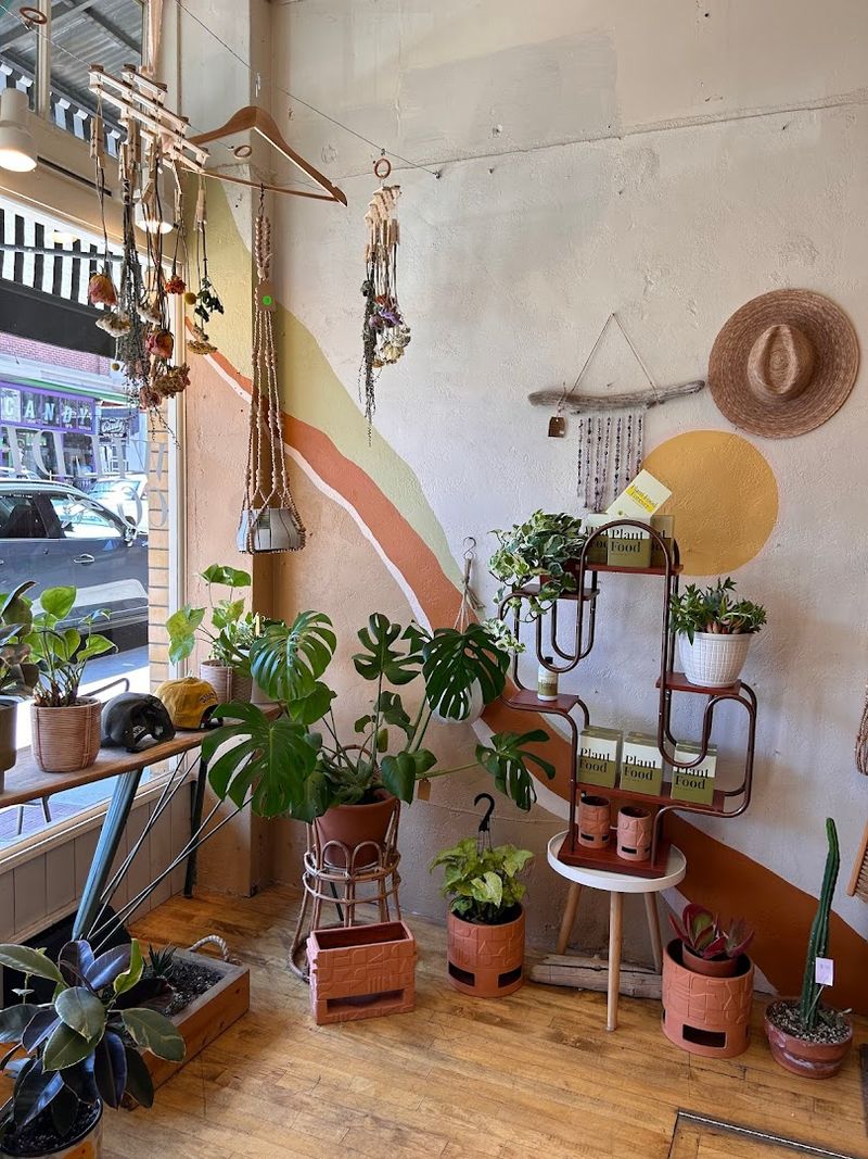 Cafe Planta, Sonora
