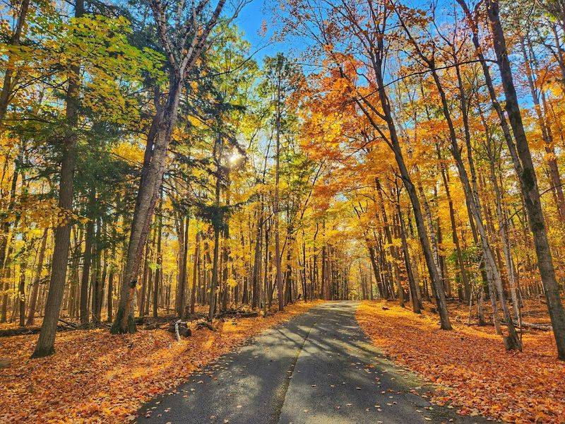 These Wisconsin Parks Offer The Kind Of Nature Escape You Didn't Know You Needed - Decor Hint Potawatomi State Park
