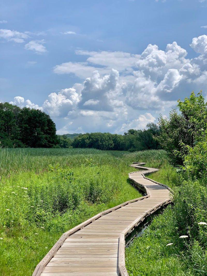 Pochuck Boardwalk Via Appalachian Trail