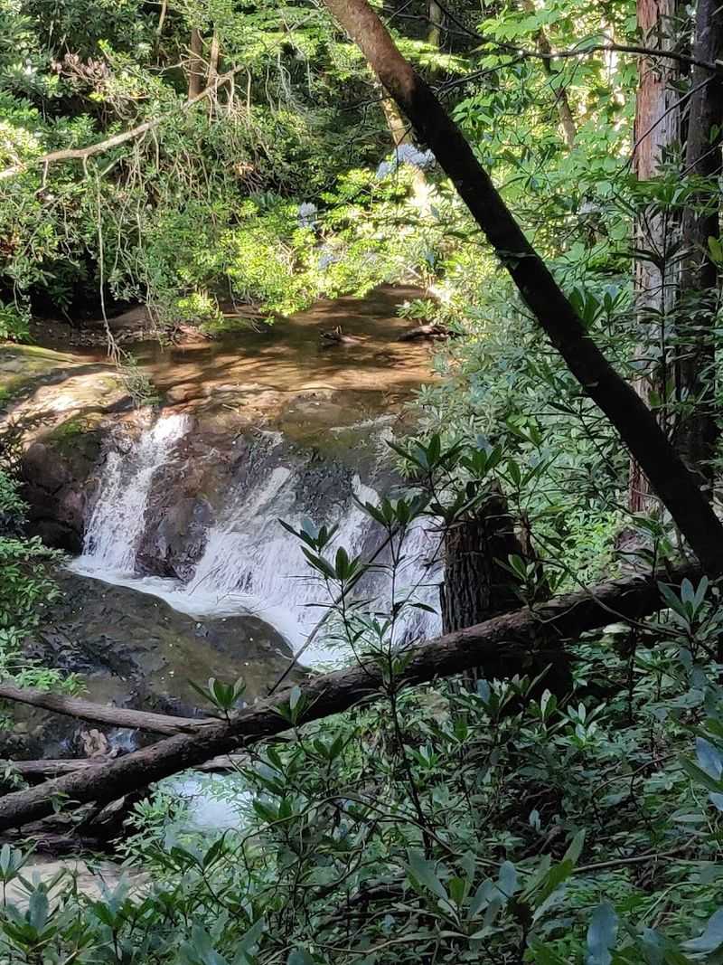 Raven Cliffs Trailhead, Cleveland