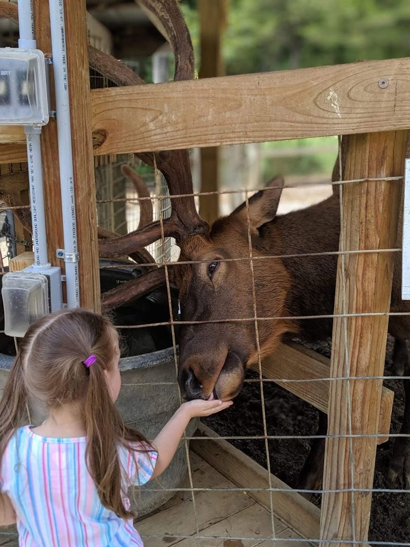 Kids Absolutely Love This Place