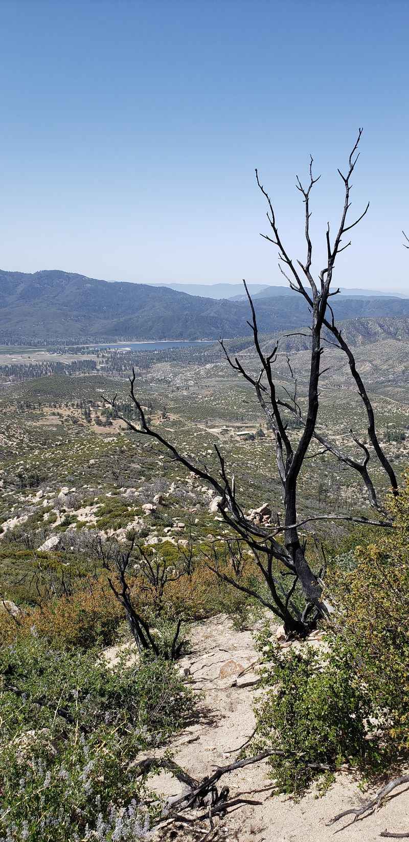 Highway 74 Through Palm Desert, Idyllwild, And Mountain Center