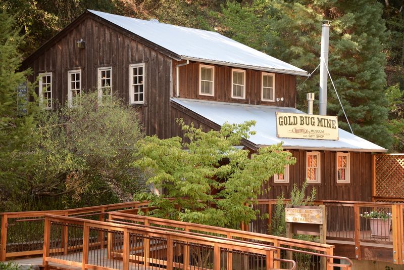 Gold Bug Park And Mine Gives The Town Real Historic Depth