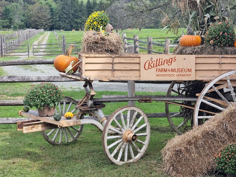 Billings Farm & Museum
