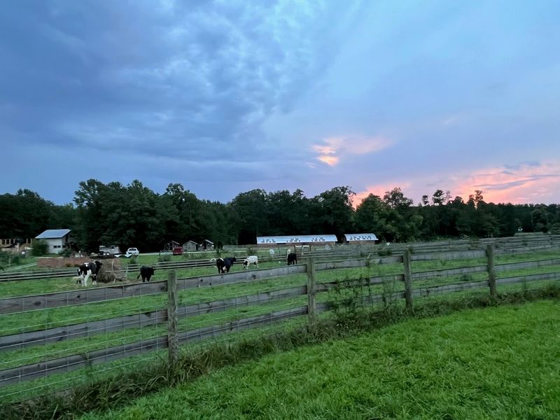 Piedmont Farm Tour Connection