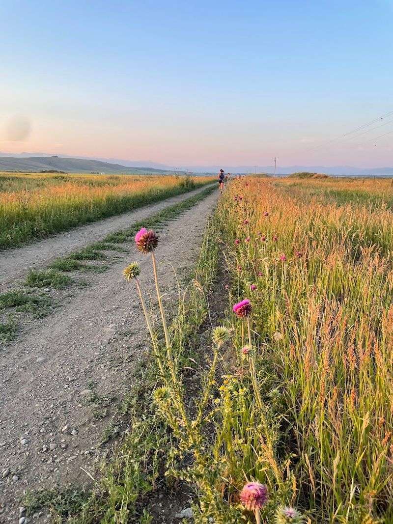 Rolling Farm Country And Peaceful Aspen Groves