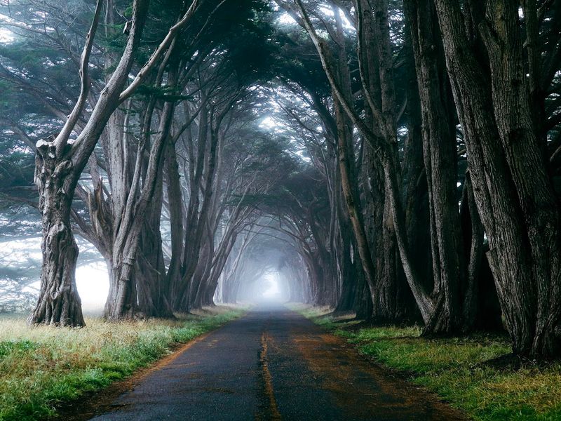 Fog Makes The Tunnel Feel Like A Different World