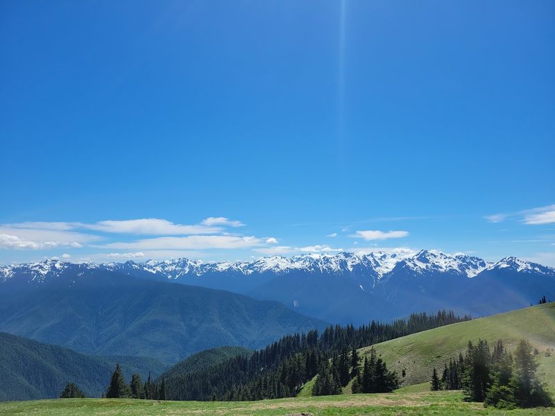 Hurricane Ridge 
