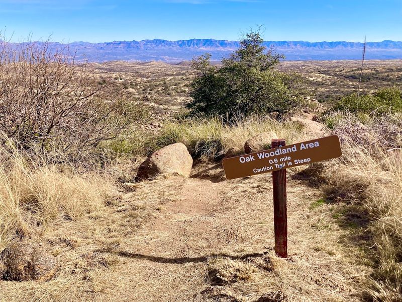 Oracle State Park