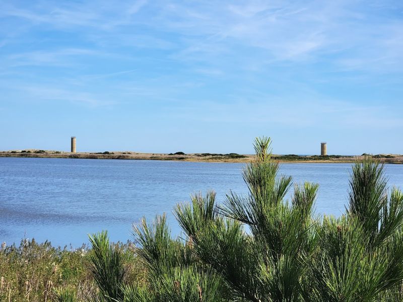 Gordon's Pond