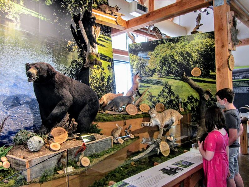 Ranger-Led Programs And Special Events Throughout The Year