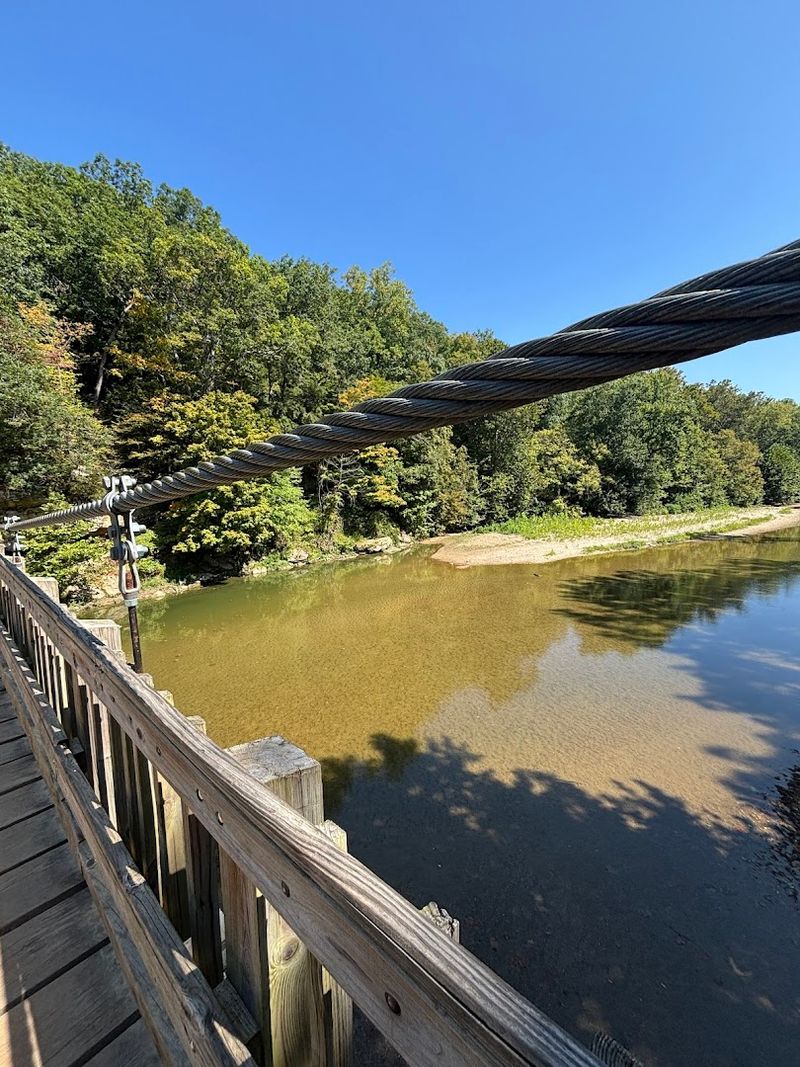 Bridges That Deserve Their Own Spotlight