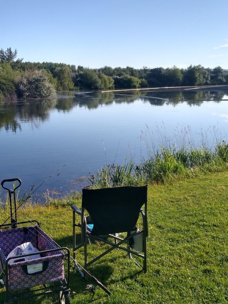 Fishing In A Stocked Lake