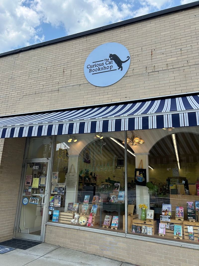 The Curious Cat Bookshop, Winsted