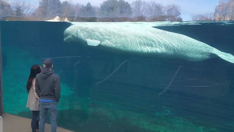 Best Times Of Year To Visit For Special Programs
