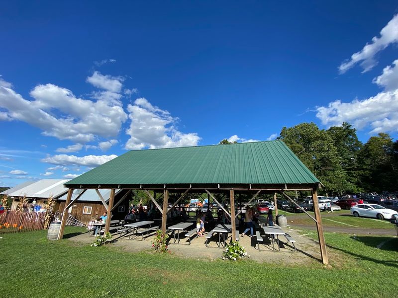 Cherry Picking In Connecticut Begins Soon, And This Farm Lets Visitors Fill A Bucket With Fresh Fruit - Decor Hint What Makes The Orchard Great For Families