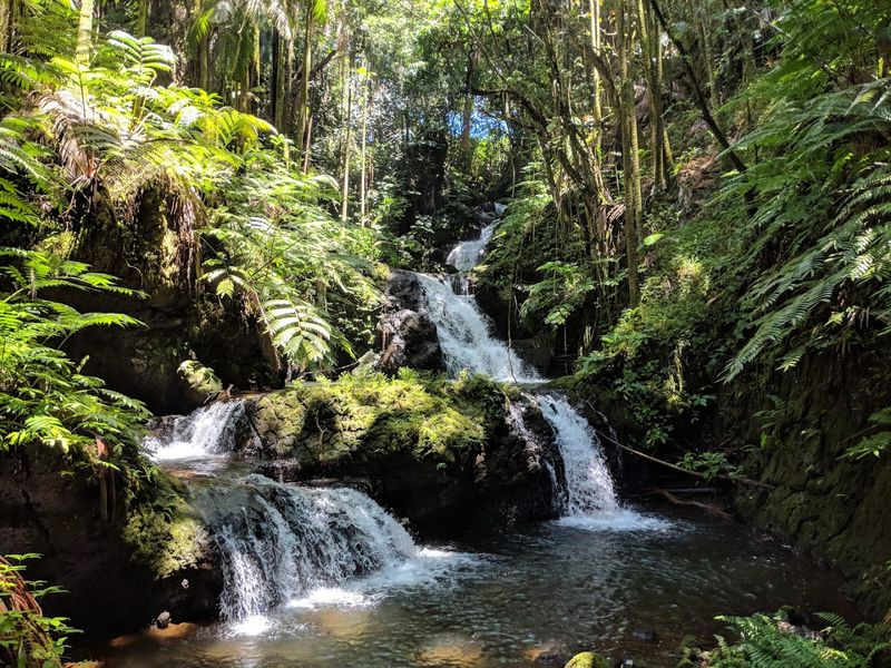 Hawaii Tropical Botanical Garden