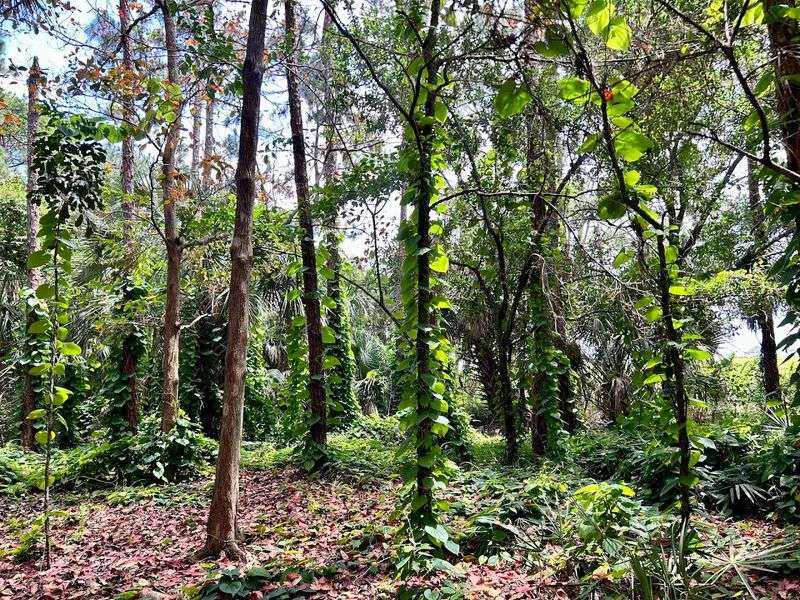 A Florida Animal Sanctuary Treats More Than 4,500 Injured Creatures Each Year And Visitors Are Welcome - Decor Hint Educational Programs That Actually Stick With You
