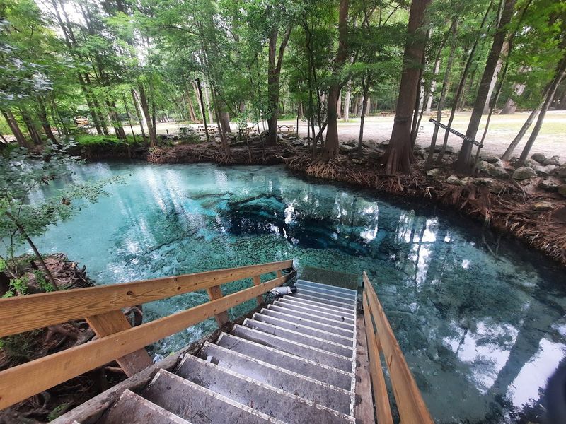 Ginnie Springs