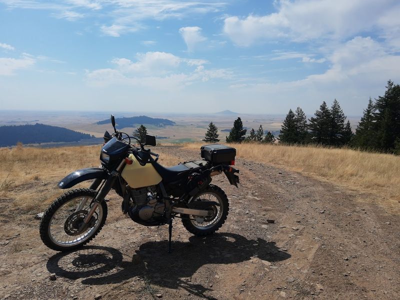 Skyline Drive Turns The Whole Visit Into A Slow Reveal