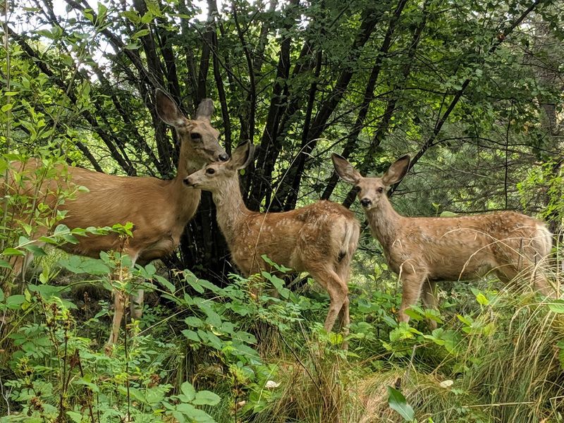 MK Nature Center